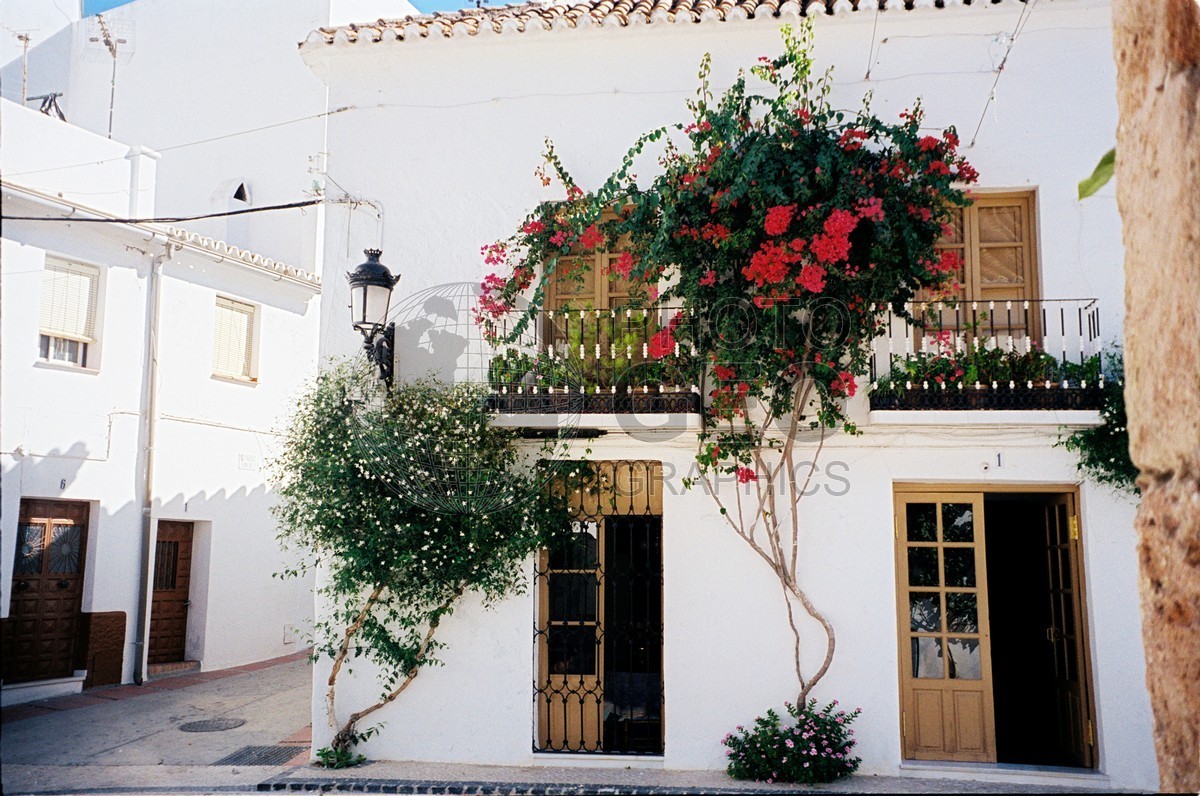 0213 Door with Red Bougainvilleas, Spain
