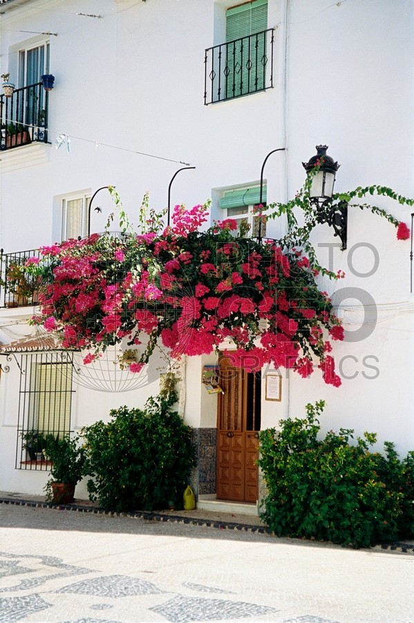 0215 Door with Red Bougainvilleas, Spain