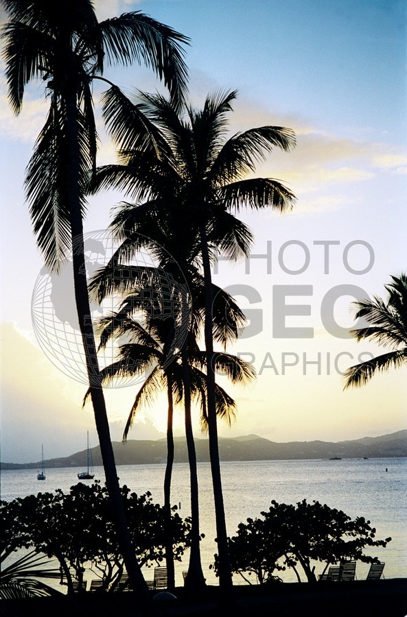 0221 The Beach at Dusk, St. John, U.S.V.I