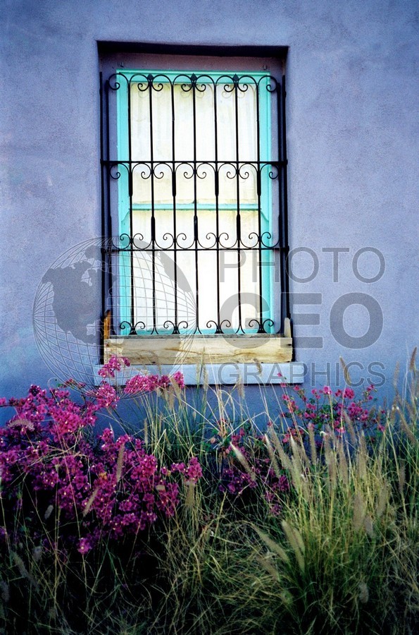 0240 Purple Window, Tucson, AZ