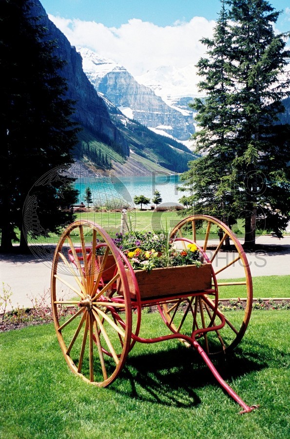0251 Flower Wagon at Lake Louise, AB