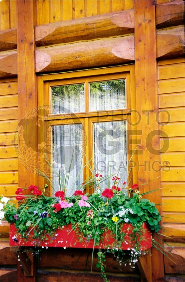 0254 Geranium Window Box, Lake Louise, AB