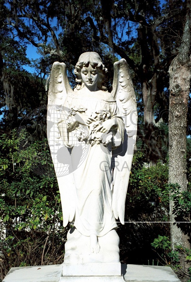 0342 Angel, Savannah, GA