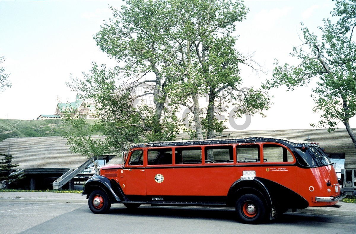 0352 Tour Bus, Glacier National Park, MT