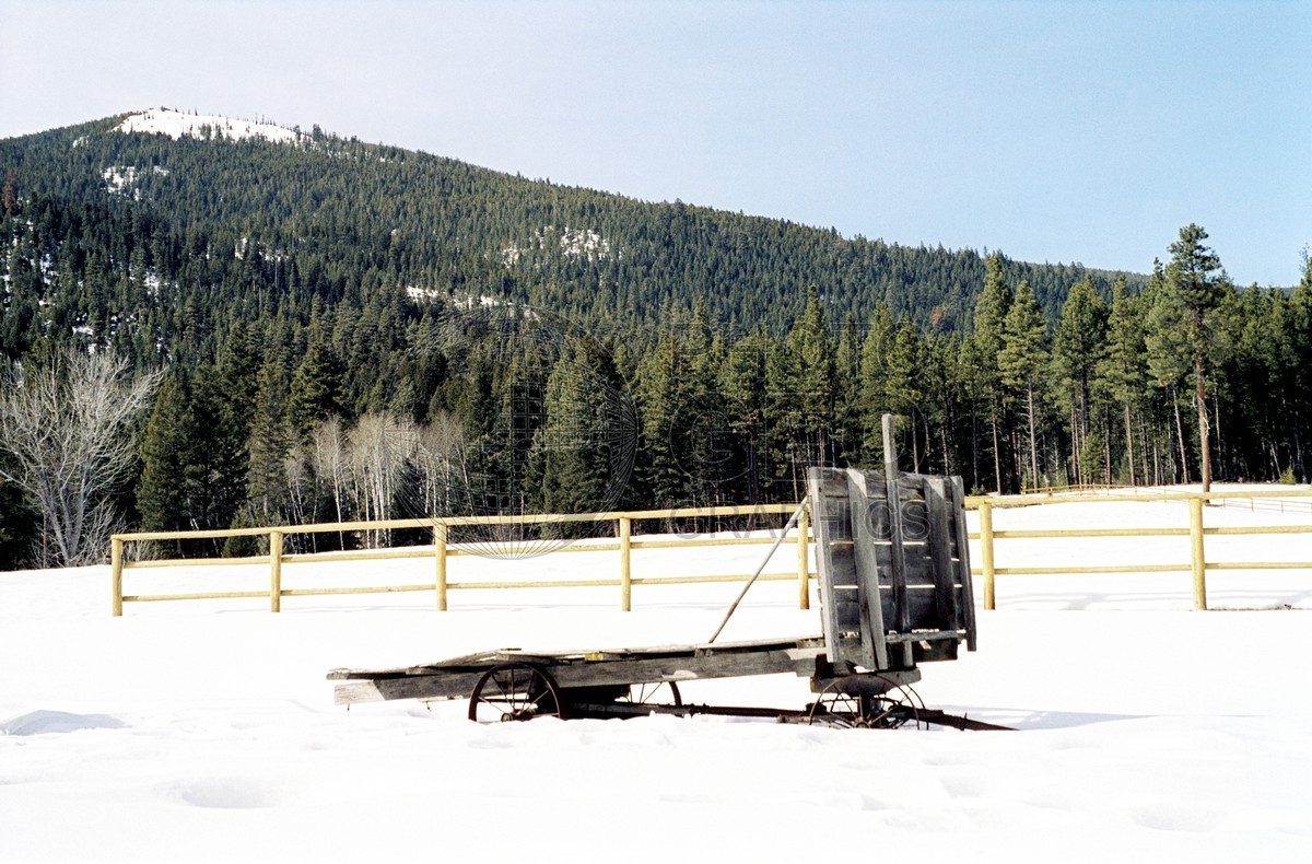 0354 Wagon in Snow, Darby, MT