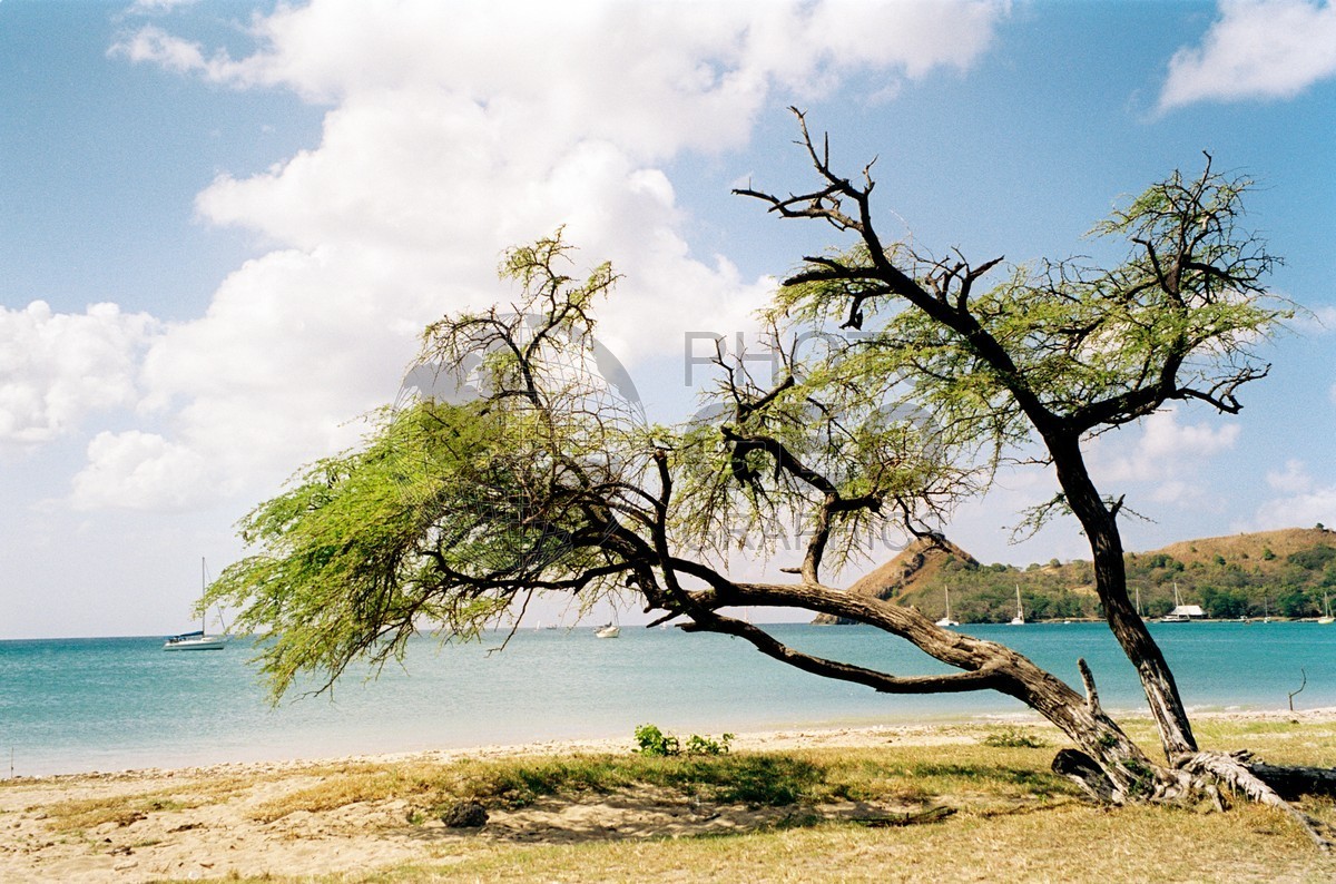 0362 Beach, St. Lucia
