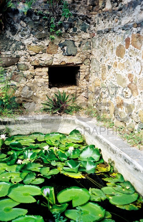 0365 Sugar Mill with Lilly Pond, St. John, U.S.V.I