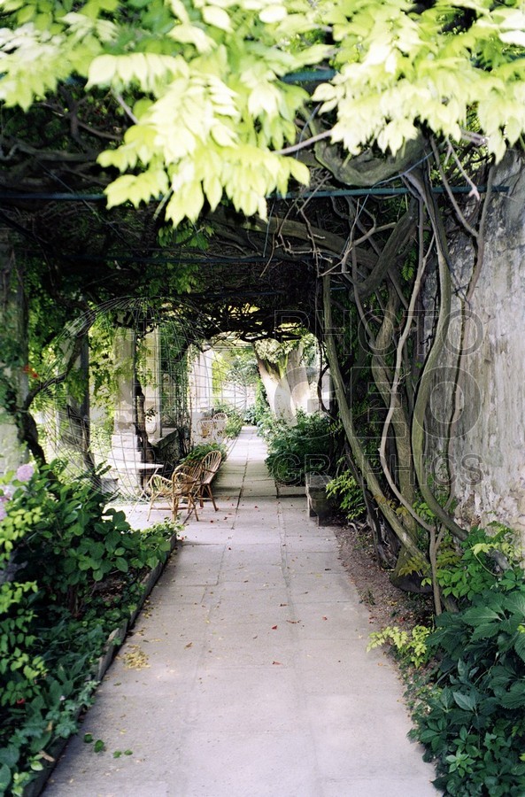 0420 Chair in Garden, Beaune, France