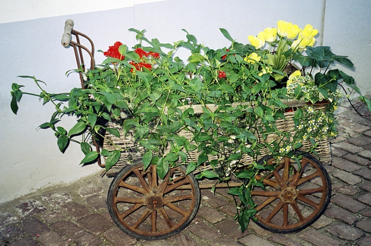0435 Flower Wagon, Colmar, France