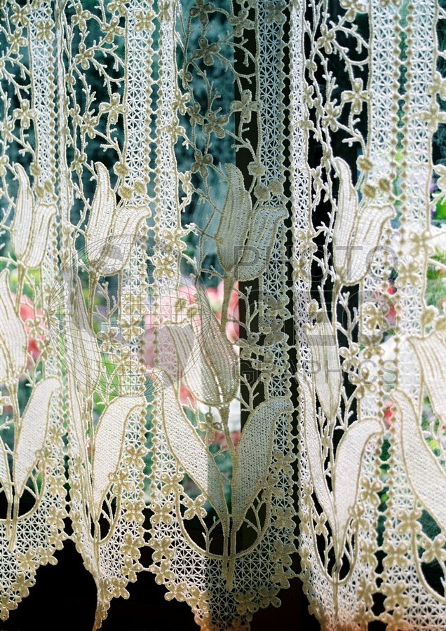 0454 Lace Curtains with Floral Background, Vonnas, France