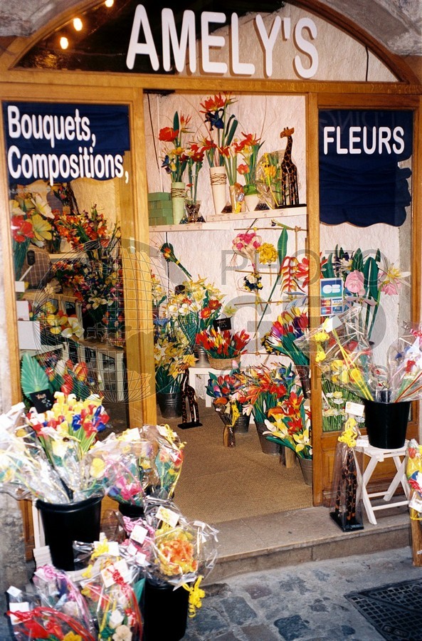 0456 Flower Shop, Lyon, France