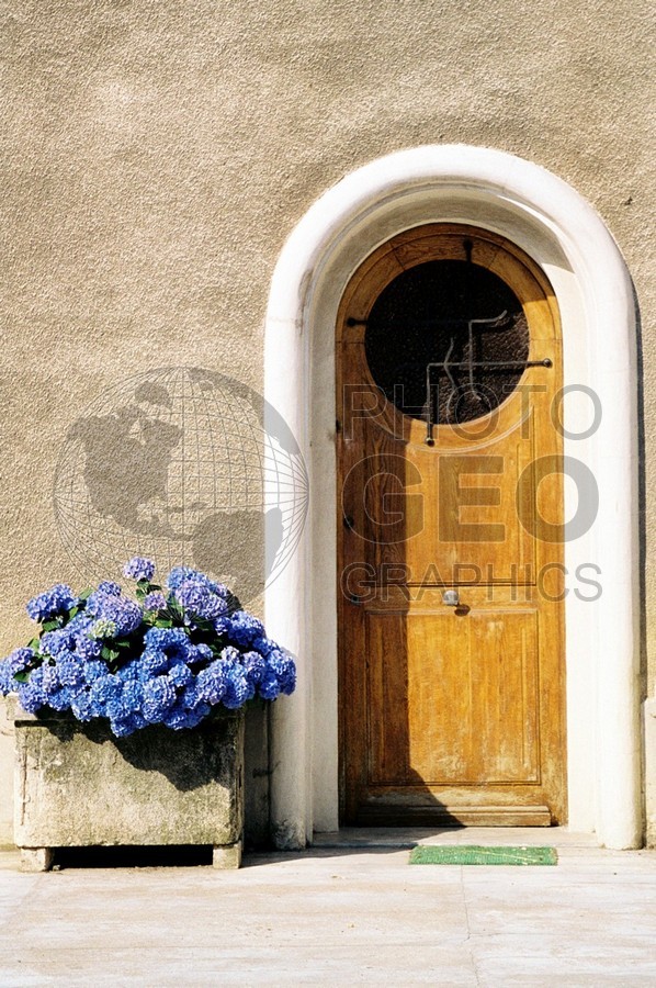 0459 Door/Blue Hydrangeas, Baix, France