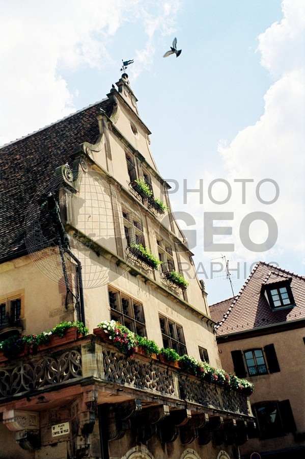 0464 Stork Nest, Rouffach, France