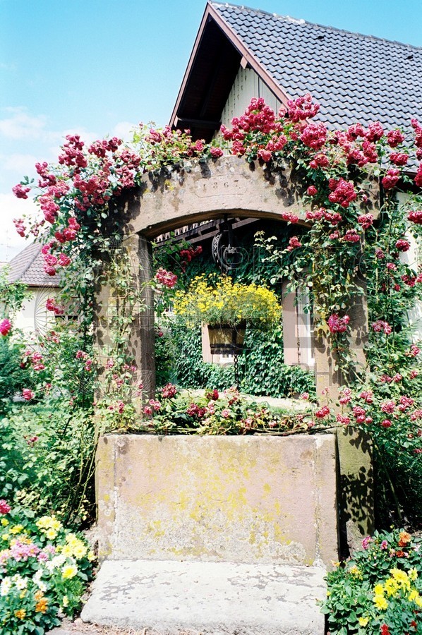 0465 Flower Well, Mionnay, France
