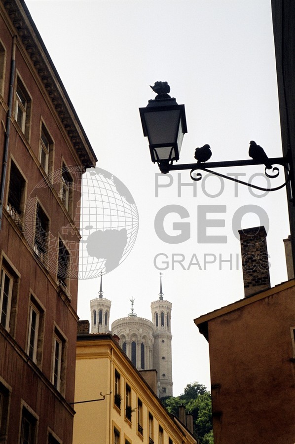 0491 Light with Bird, Beaune, France