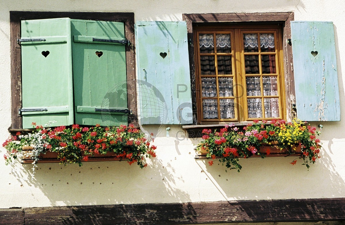 0497 Green Shutters, Vonnas, France