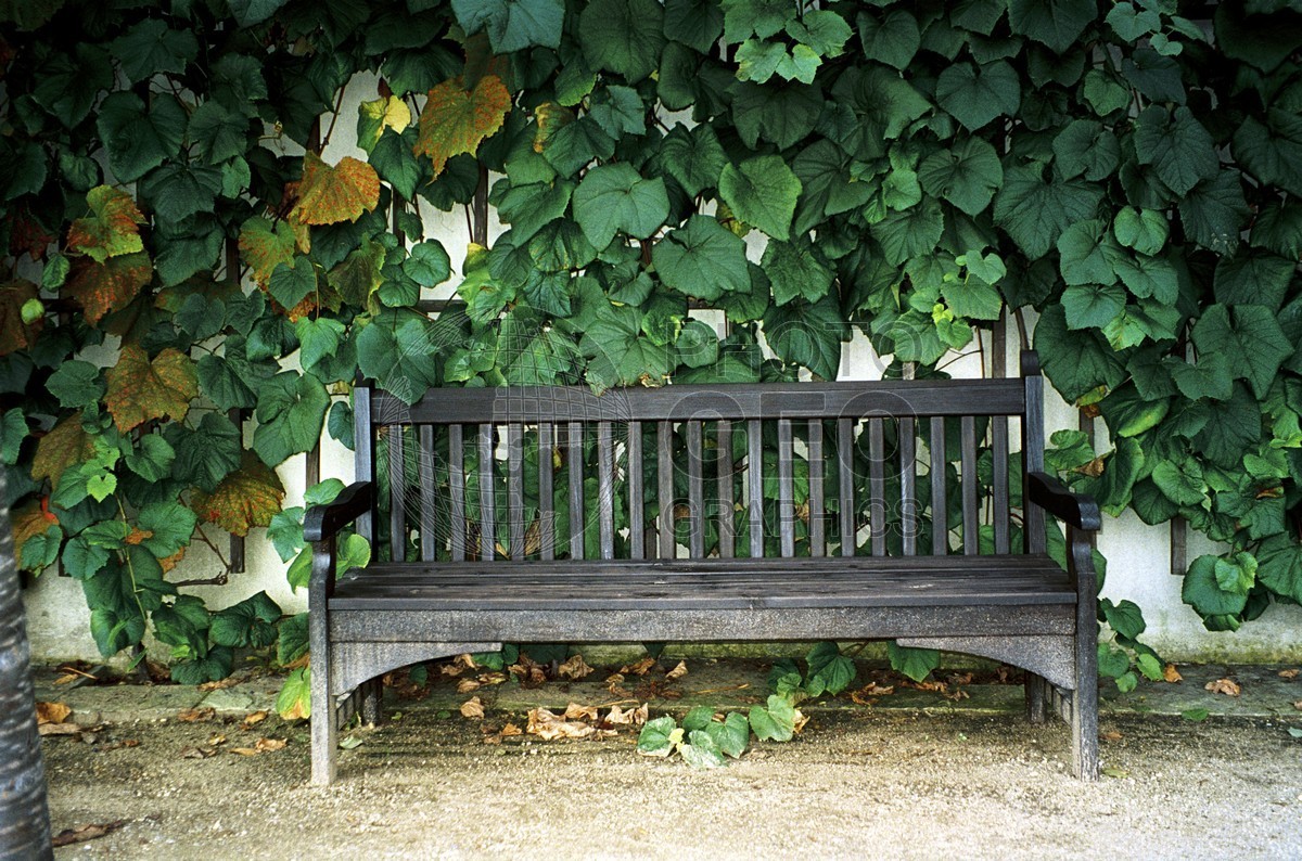 0514 Bench, Prague, Czech Republic