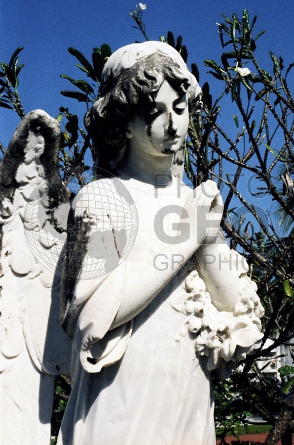 0515 Angel, Key West, FL