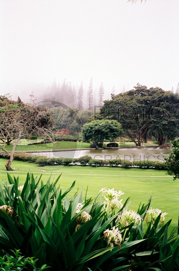 0547 Misty Pine,s Lanai, HI