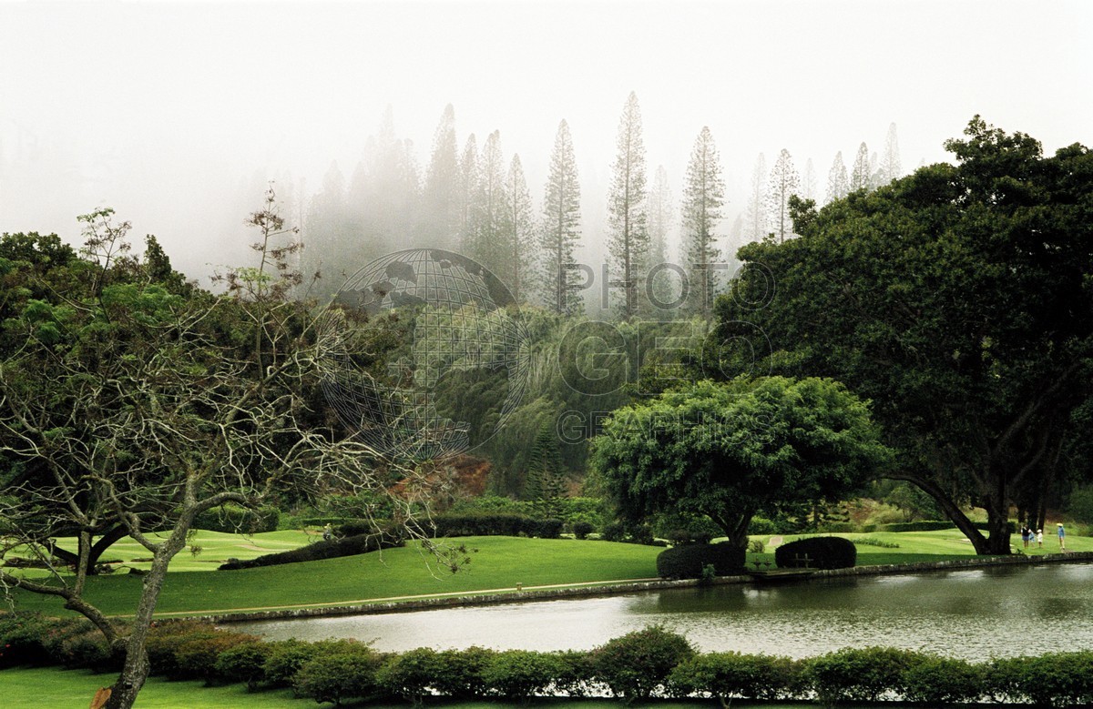 0548 Misty Pines, Lanai, HI