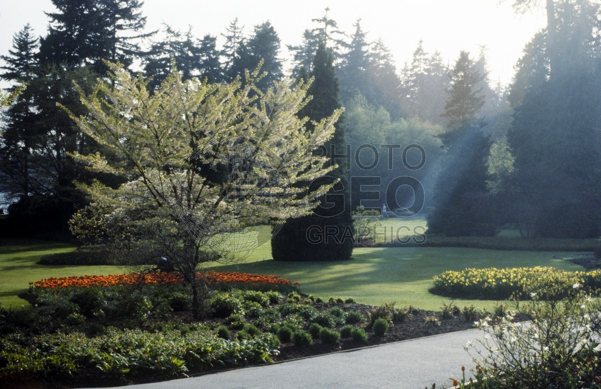 0743 Stanley Park, Vancouver, BC