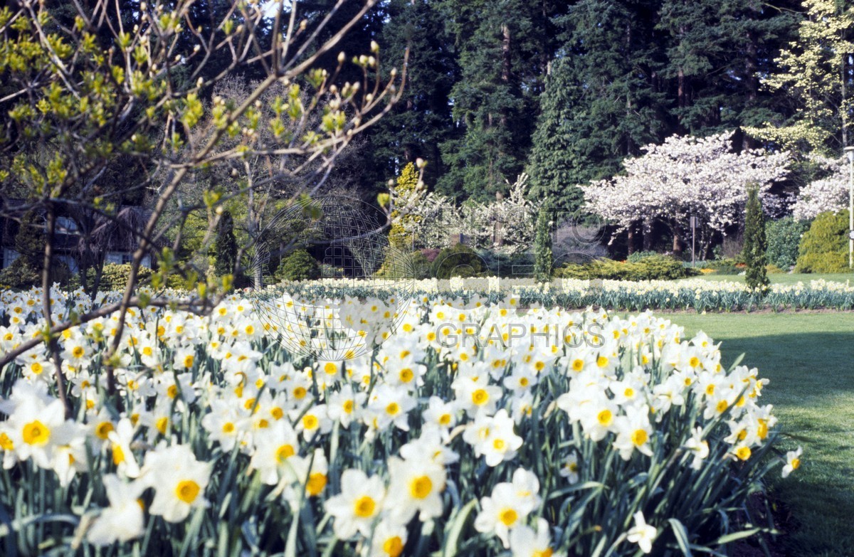 0744 Stanley Park, Vancouver, BC