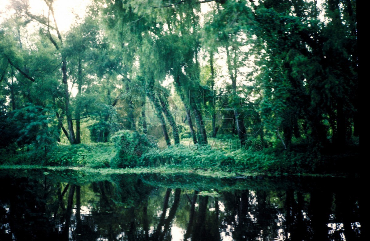 0750 Swamp, LA