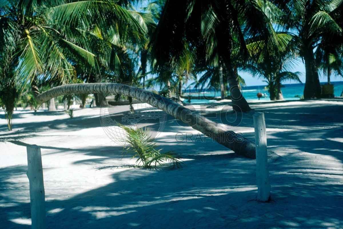 0795 Yucatan Beach, Mexico