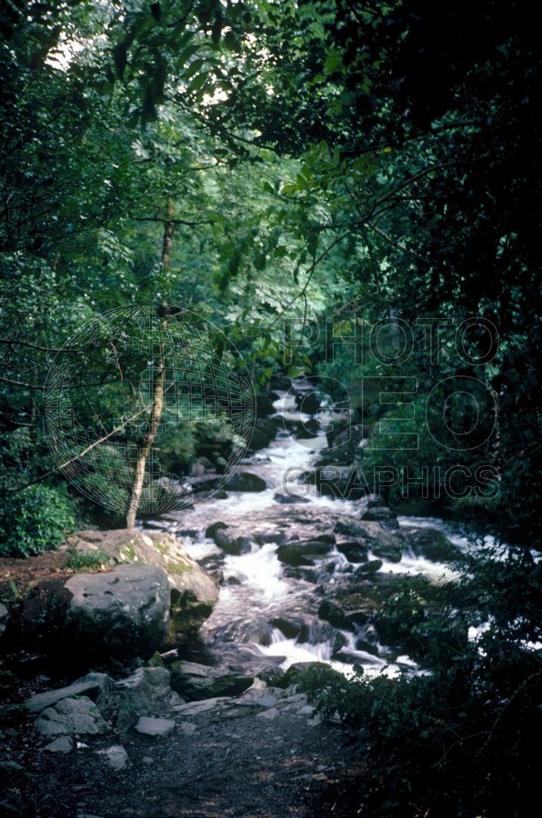 0803 Brook, Ireland