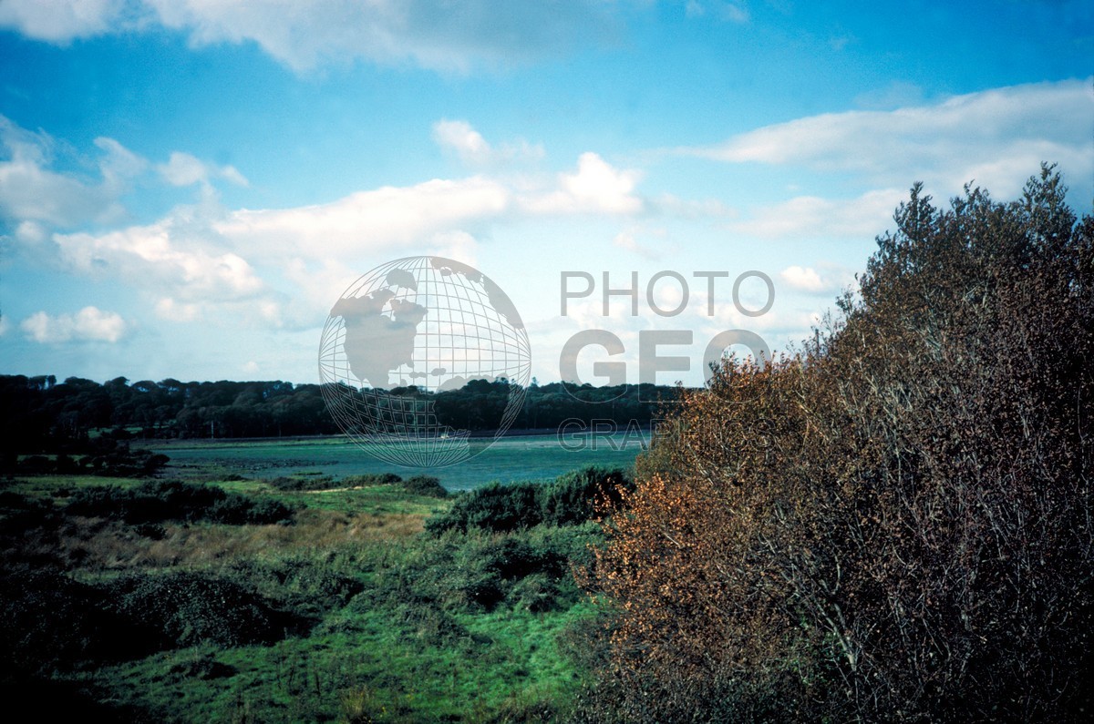 0813 Countryside, Ireland