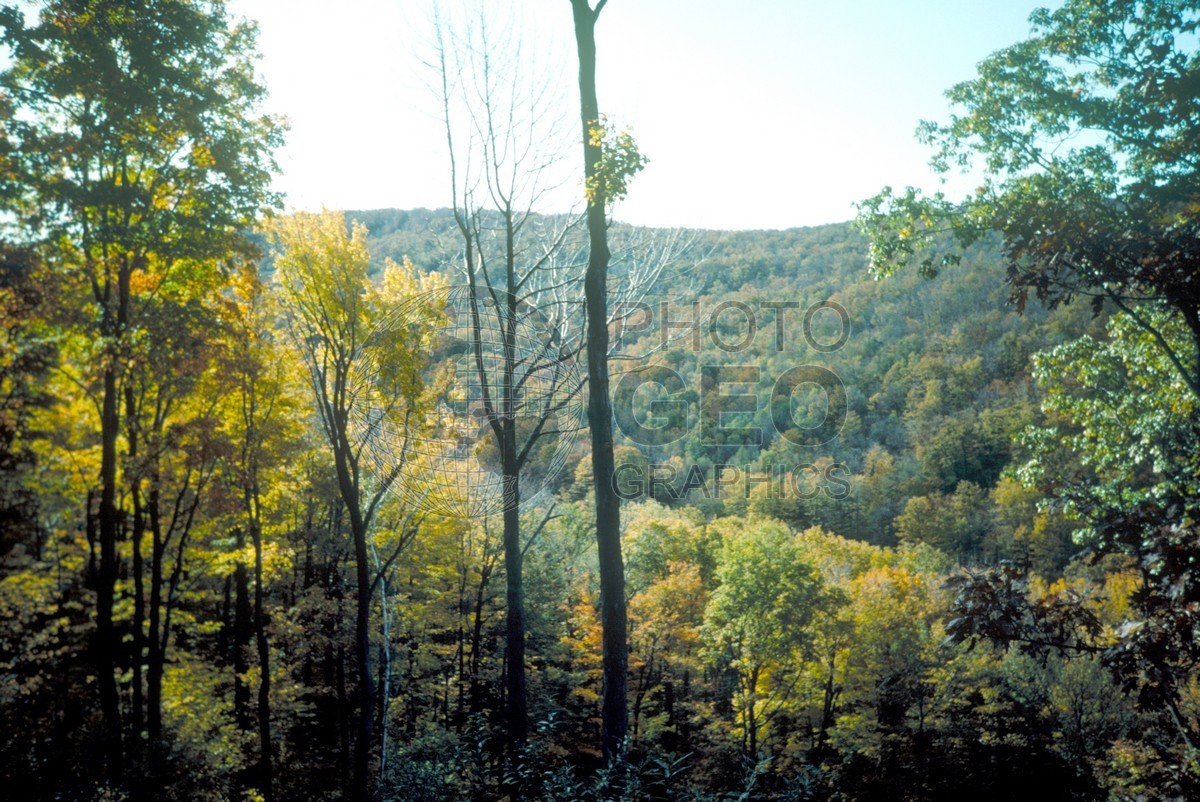 0860 Colors, VT