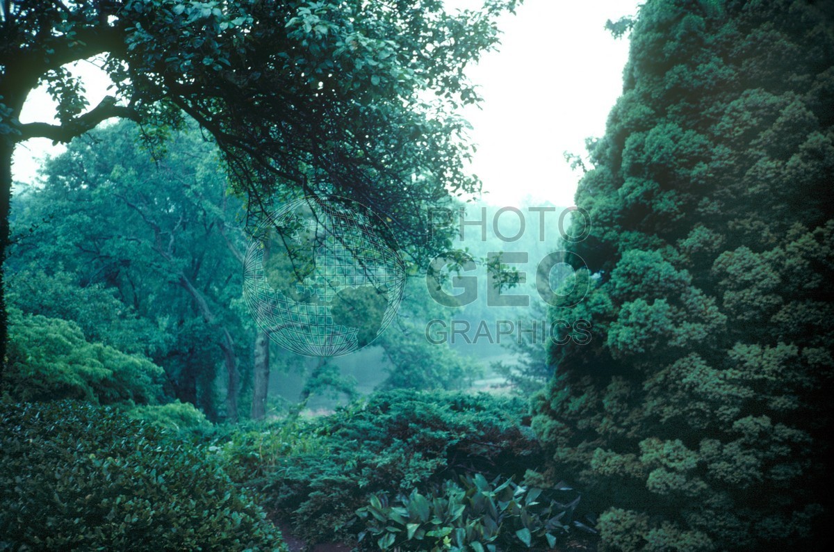 0877 Forest, MA