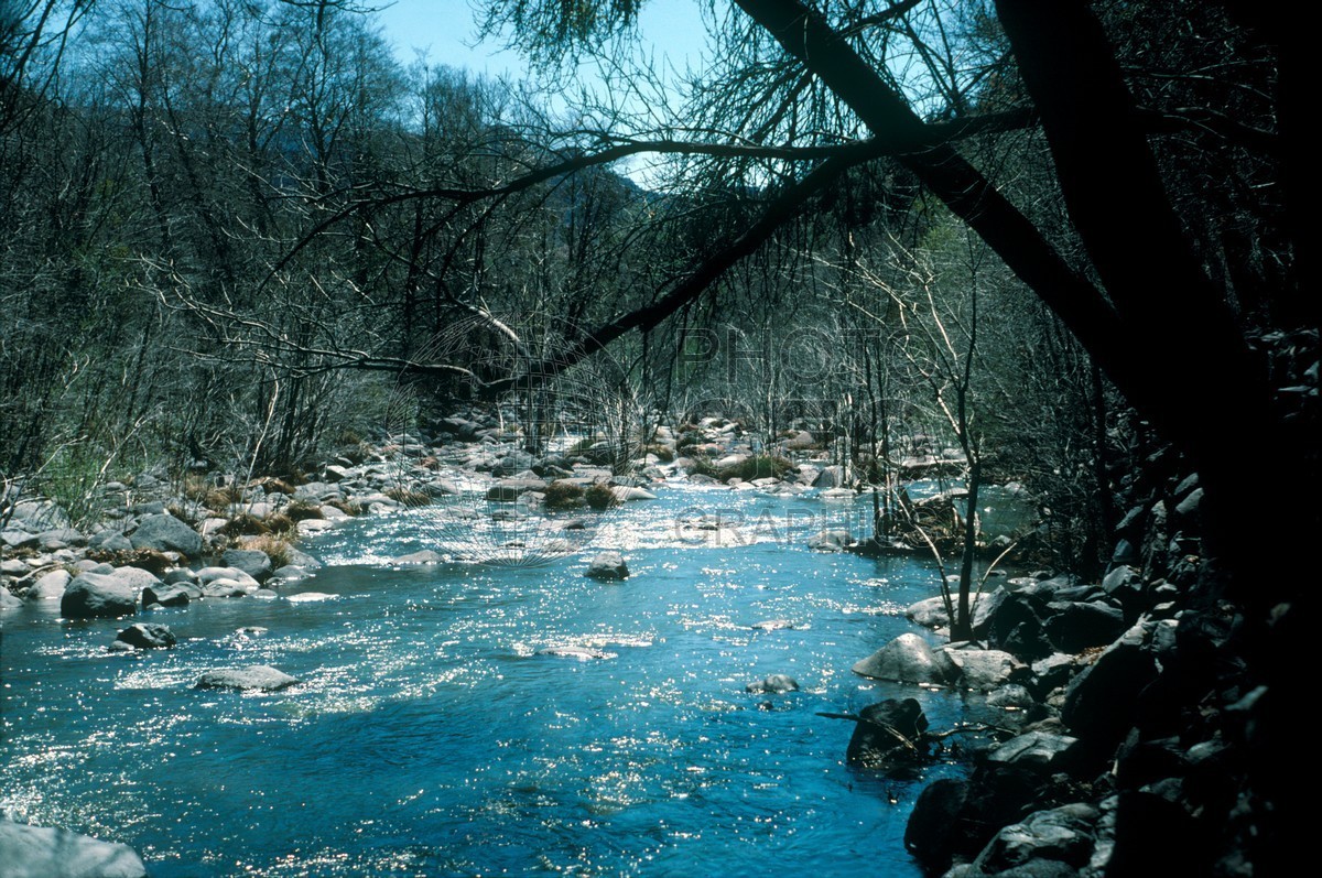 0890 Oak Creek Canyon, Sedona, AZ