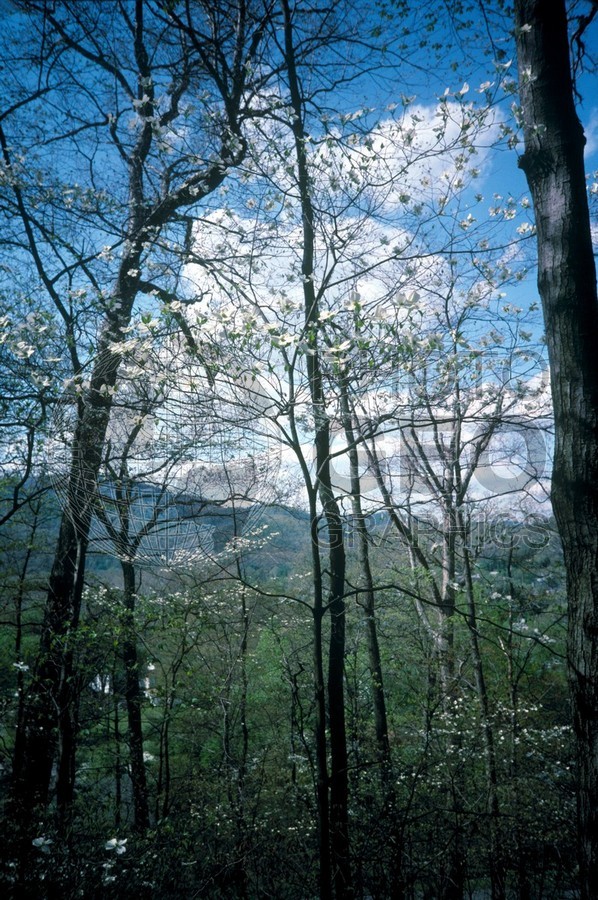 0927 Springtime, Greenbriar, WV