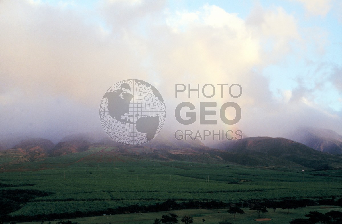 0943 Rainbow, Maui, HI