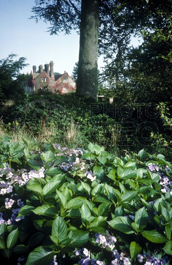 0968 Gravetye Manor, Grinsted England
