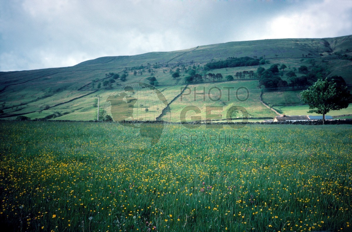 0992 Yorkshire Dales, England