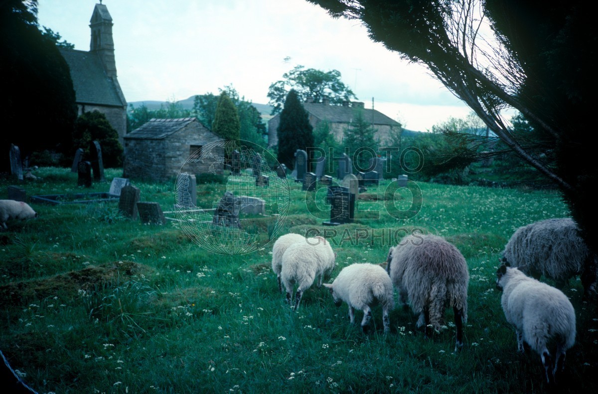 0994 Cemetery Lawnmowers, England