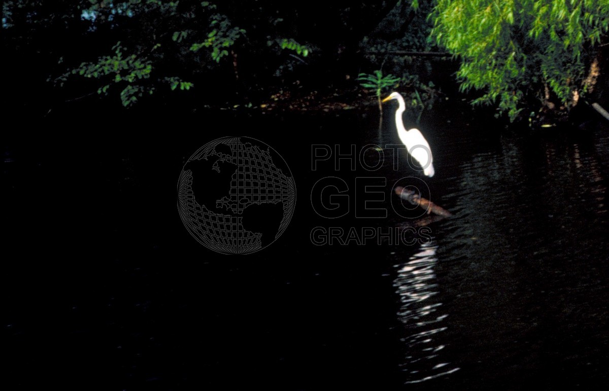 2357 Egret, LA