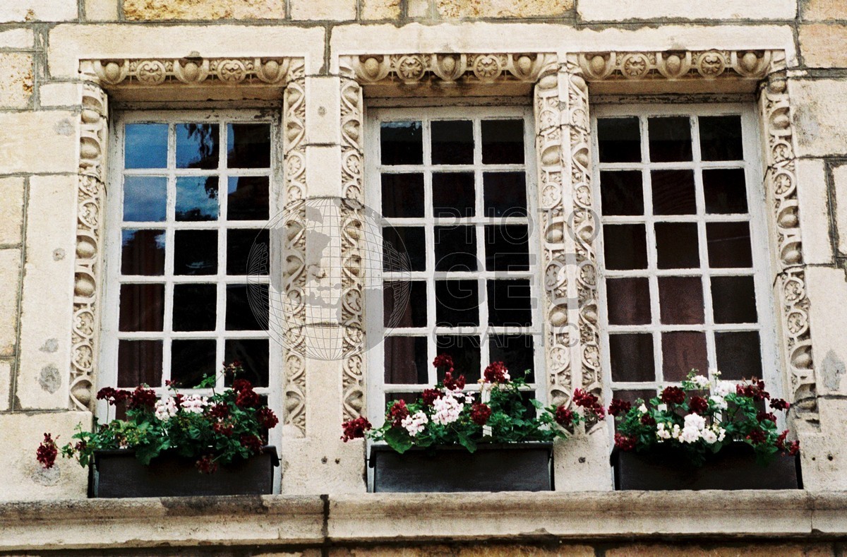 1006 Window Flower Box, Lyon, France