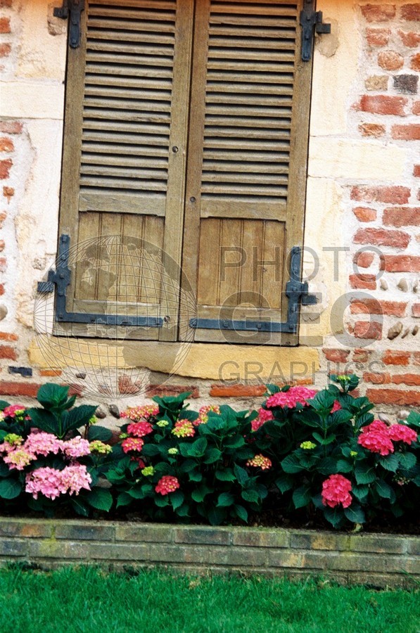 1012 Pink Shutters, Vionnay, France