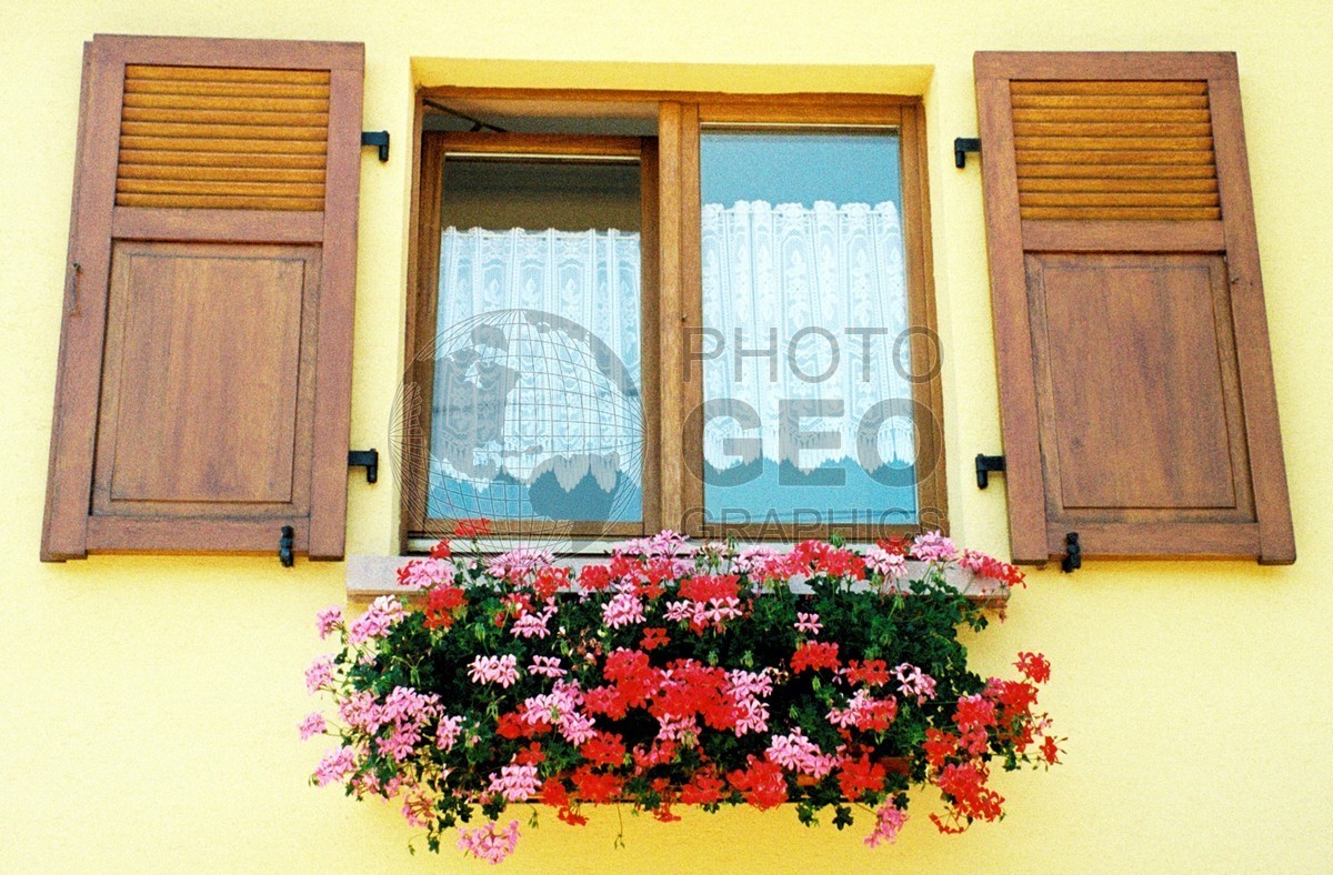 1013 Shutters and Flower Box, Beaune, France