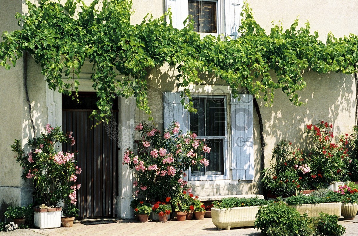 1023 Flowered Entranceway, Baix, France