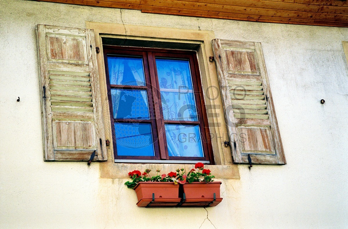 1031 Beige Walls with Shutters, Colmar, France