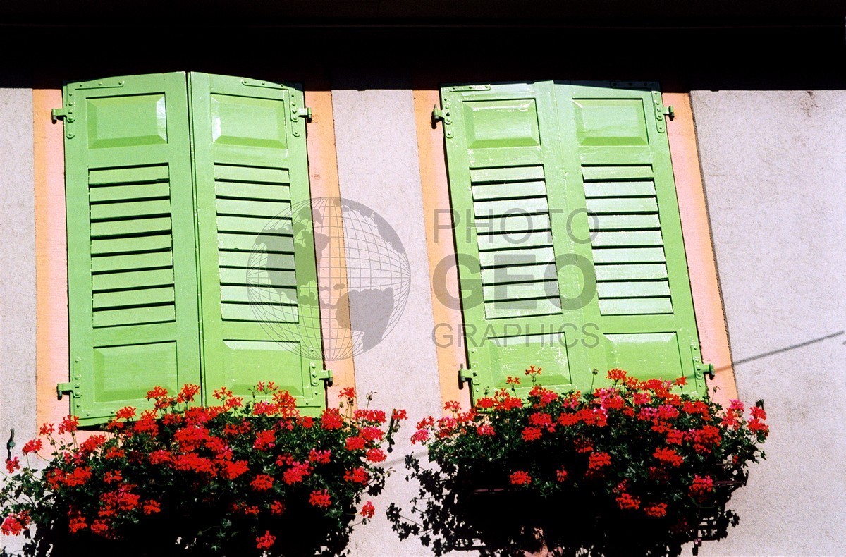 1032 Green Shutters, Colmar, France