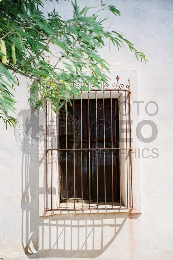 1121 Window, Tucson, AZ