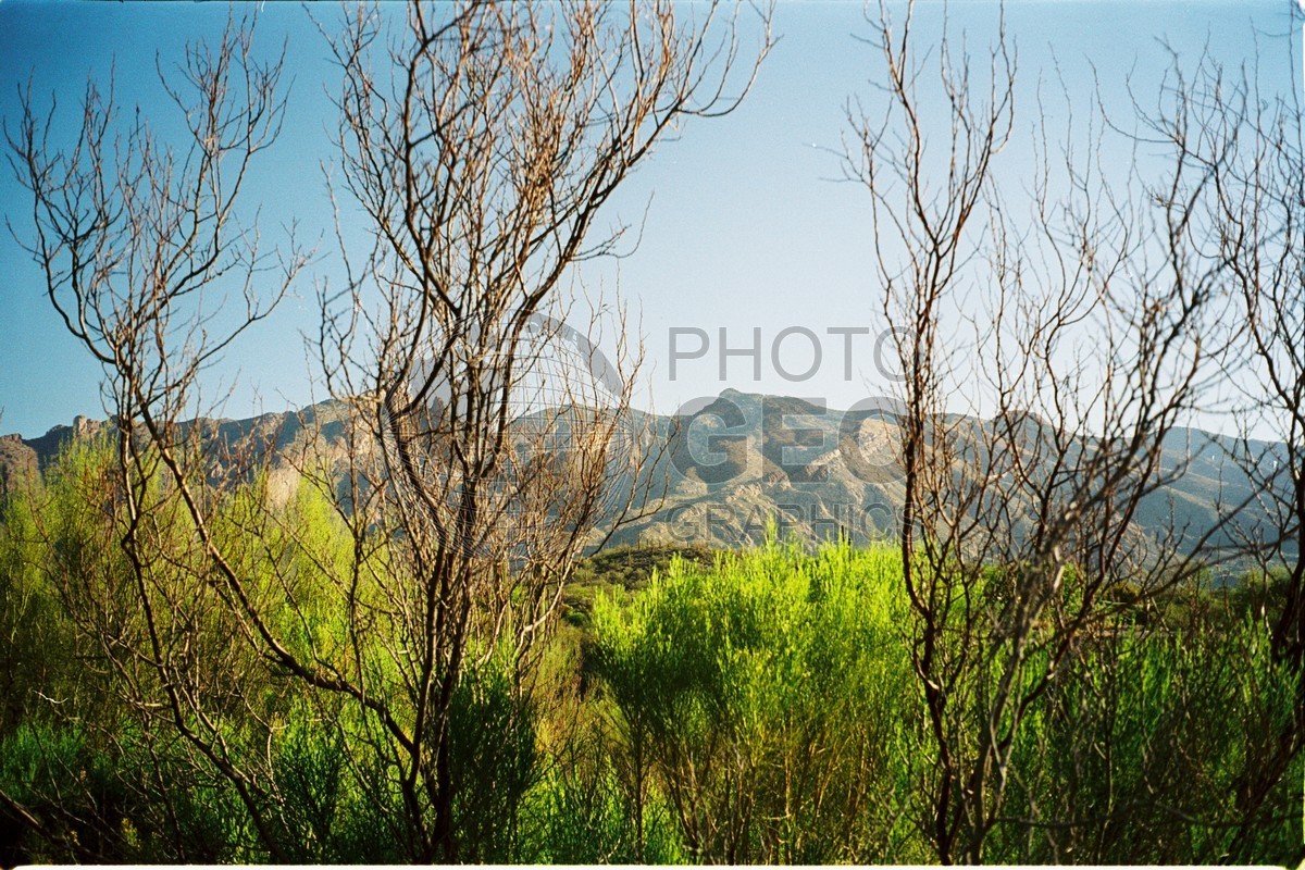 1122 Desert, Tucson, AZ