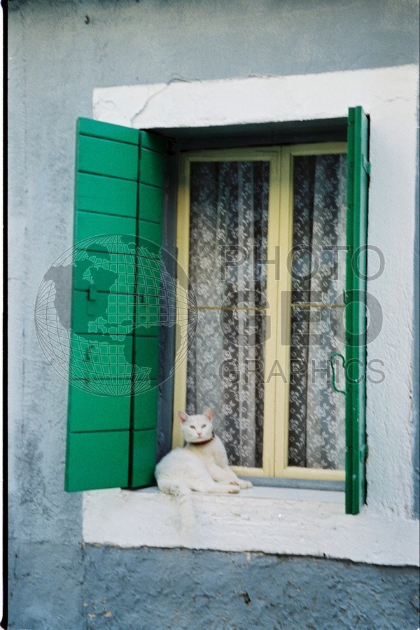 1172 Cat in Window, Burano, Italy
