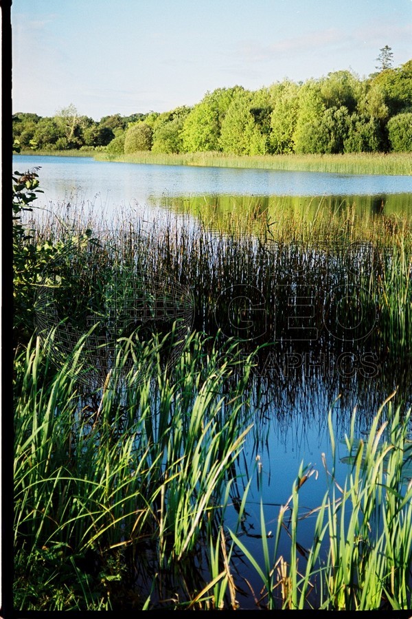 1209 Lake, Adare, Ireland