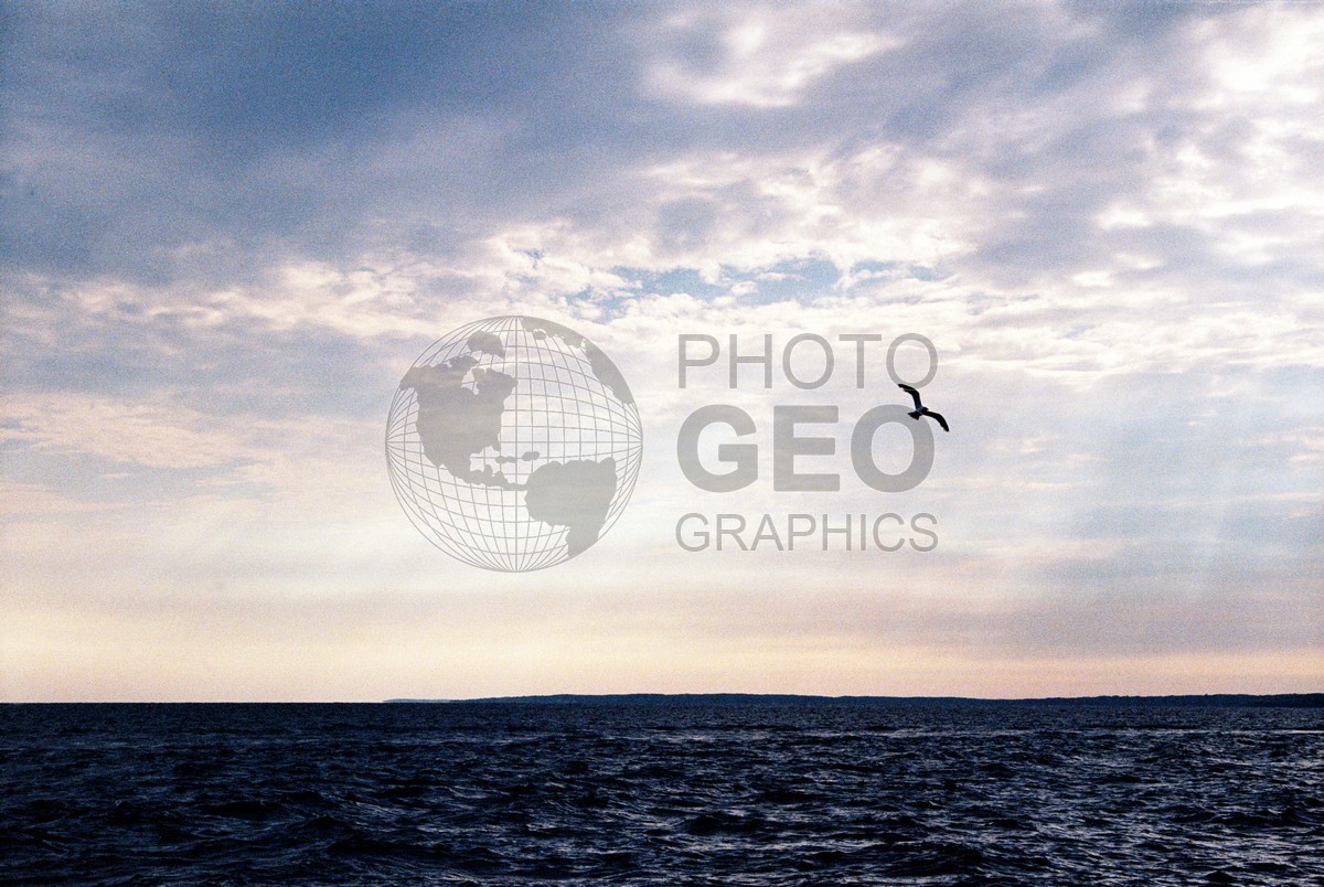 1246 Seagull, Martha's Vineyard, MA